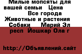 Милые мопсяты для вашей семьи › Цена ­ 20 000 - Все города Животные и растения » Собаки   . Марий Эл респ.,Йошкар-Ола г.